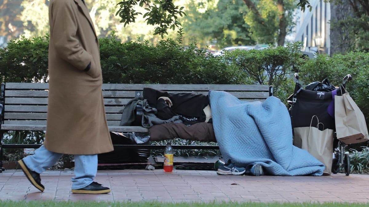 Savannah tackles homelessness with camping ban and drug crackdown