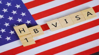 H-1B visa holder wakes up at 3.30 am to book appointment for August 2027, US professional surprised