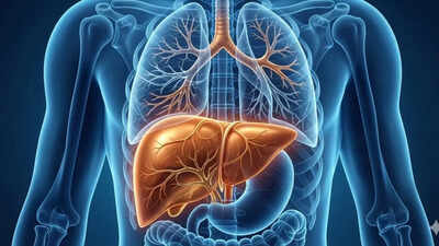 Global Liver Disease Cases Reach 1.3 Billion in 2023: A Surge of 143% Since 1990 |