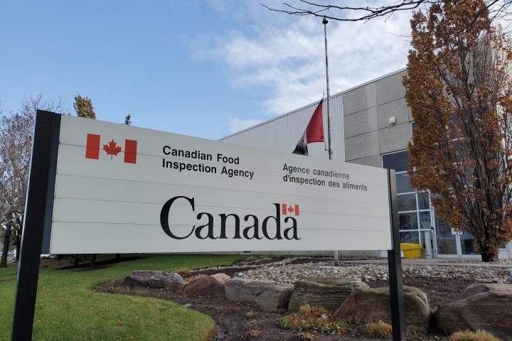 Egg products in Ontario, Quebec recalled due to salmonella contamination