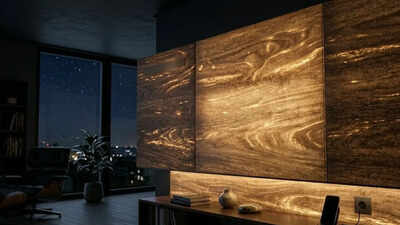 Wood Battery: Forget solar panels: This ‘wood battery’ powers homes even in total darkness |