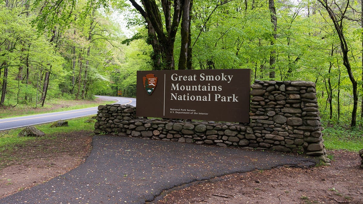 Great Smoky Mountains National Park closes trails amid bear activity spike