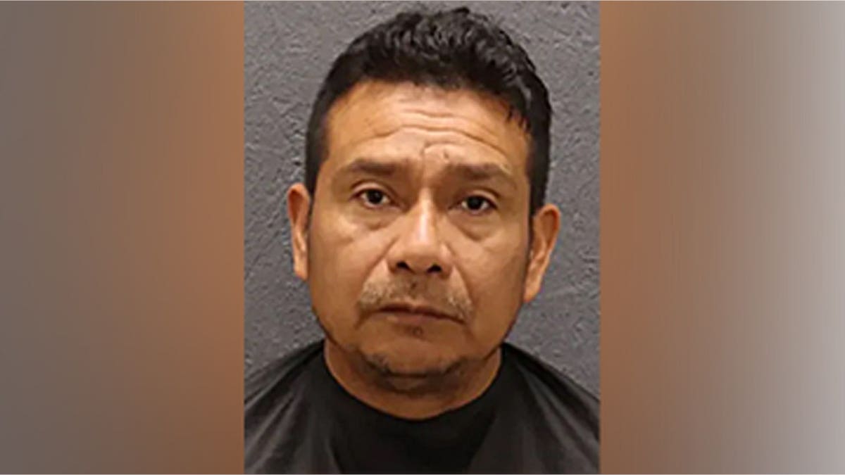 ICE detains illegal alien accused of child sex crimes in South Carolina