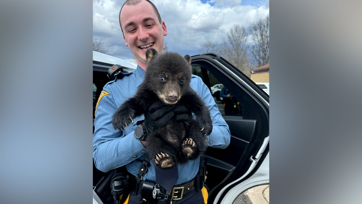 New Jersey State Police rescue lone bear cub found along I-78 in ditch