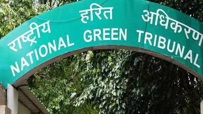 NGT moved over tree felling for park development in Odisha