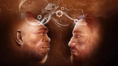 Scientists uncover 110,000-year-old evidence in Israel of humans and Neanderthals working together |