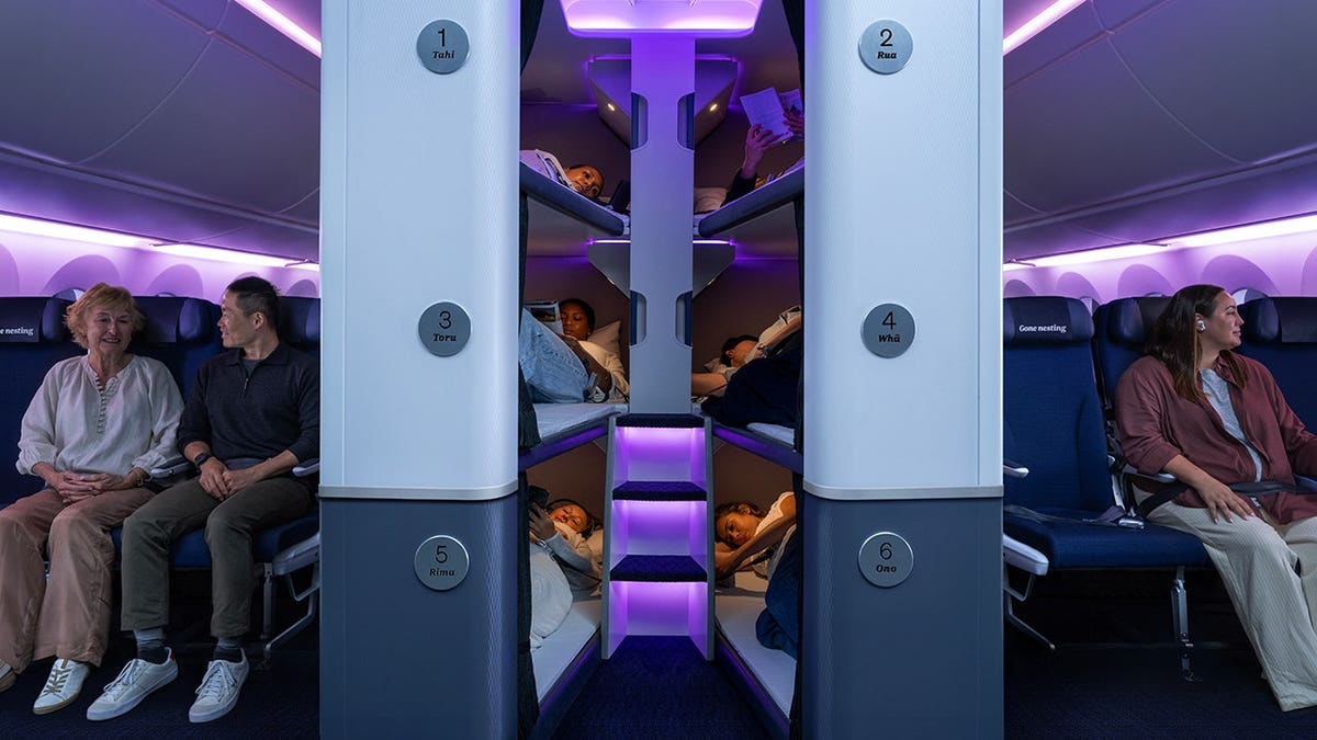 Air New Zealand launches Skynest economy sleep ‘pods’ for 5 per session
