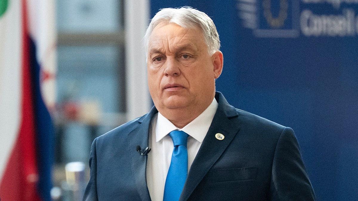 Orbán concedes defeat as Magyar surges to landslide win in Hungary
